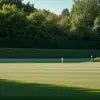 Novak Djokovic la Wimbledon: Istoricul complet al performanțelor, de la înfrângeri timpurii la 7 titluri de campion