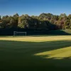 Campioanele de la Wimbledon: Lista completă a câștigătoarelor la simplu feminin din 1884 până în prezent