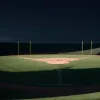 Surpriză în draftul MLB: Washington Nationals l-au selectat pe fiul de 17 ani al unui fost jucător cu prima opțiune