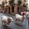 Sărbătoare, sânge și adrenalină: Festivalul San Fermín din Pamplona atrage mii de temerari