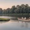 A început recensământul regal al lebedelor de pe Tamisa: O tradiție veche de secole