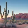 Alegeri cruciale în Arizona: Votanții aleg succesorul regretatului congresman democrat Raúl Grijalva