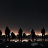 Atac cu bombe Molotov la un miting pro-Israel în SUA: Un egiptean, acuzat de crimă după decesul unei femei de 82 de ani