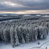 Studiu unic întrerupt: Recensământul lupilor și elanilor de pe Isle Royale, anulat din cauza unei urgențe medicale