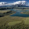Un cutremur de 4,9 grade a zguduit Insula de Nord Inferioară din Noua Zeelandă: Detalii și consecințe