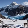 Erou pe patru picioare: Un Chihuahua a salvat viața stăpânului său căzut într-o crevasă glaciară în Elveția