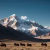 Lumea care dispare: Cum încălzirea globală amenință ultimii păstori de iaci din Himalaya