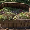 Compostarea pentru toți: Cum să transformi deșeurile într-un beneficiu pentru planetă, chiar și la apartament