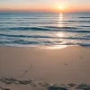 Conflict pe plajă: Brian Littrell de la Backstreet Boys dă în judecată șeriful din Florida
