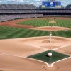 Lupta titanilor: «Detroit Tigers» împotriva «Houston Astros» - începutul seriei