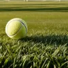 Alcaraz vs. Sinner: Revanșa de la Wimbledon după bătălia epică de la Roland Garros