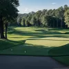 Ben Martin, lider la Barracuda Championship: Rezultatele primei runde de golf cu premii de 4 milioane de dolari