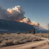În Canada, un pește scăpat de o pasăre pe liniile electrice a declanșat un incendiu de vegetație și o pană de curent