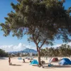 Audierea în cazul uciderii surferilor în Mexic, amânată din nou