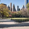 Trăsuri trase de cai, pe cale de dispariție din Central Park din cauza bicicletelor și a vizitatorilor