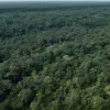 Un elicopter cu opt persoane la bord a dispărut în insula Borneo din Indonezia