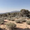 Schimbările climatice au crescut de 40 de ori probabilitatea incendiilor devastatoare din Peninsula Iberică