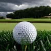 Campionatul Butterfield Bermuda: Schenk și Thornberry, co-lideri într-o cursă tensionată pentru un card PGA Tour