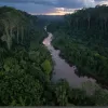 Bande criminale se extind în Amazonia braziliană: O amenințare pentru pădurea tropicală și securitate