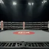 Merab Dvalishvili înfruntă Petr Yan la UFC 323: Lupta pentru titlu și un record istoric