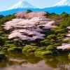 Ghid de călătorie în Japonia: Cele mai bune mâncăruri, obiective și hoteluri din țară