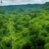 Video cu tiroliană surprinde atac terorist în Kashmir