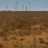 Alegerile din Australia: Ce înseamnă victoria laburiștilor pentru climă într-o economie dependentă de cărbune
