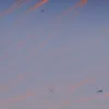 Elicopter Black Hawk al Armatei obligă două avioane de linie să abandoneze aterizările la DCA